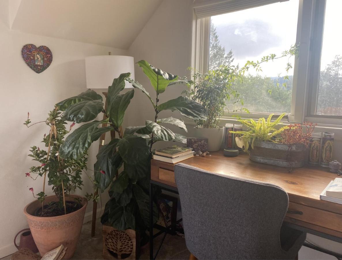 Boulder Best City And Nature With Lake And Trails Pets Ok Exterior photo